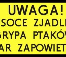 Komunikat dotyczący wystąpienia wirusa ptasiej grypy na terenie Gminy Dobra